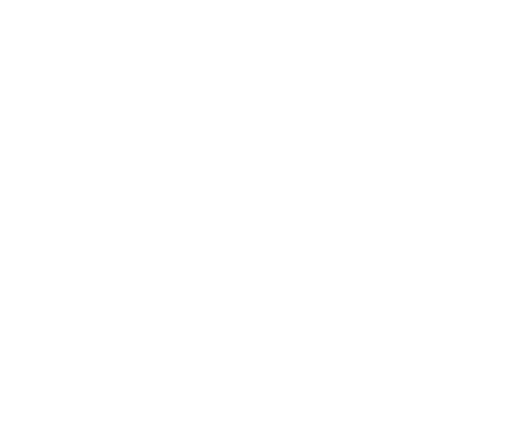 a4v logo overlay